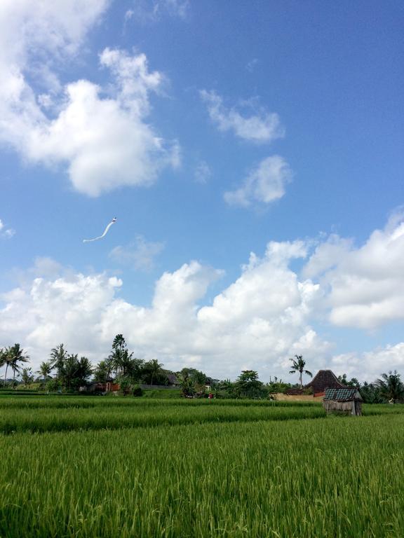 Rumah Semanggi Ubud Exteriér fotografie