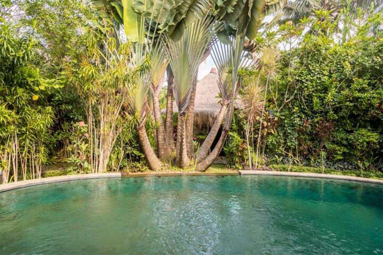 Rumah Semanggi Ubud Exteriér fotografie