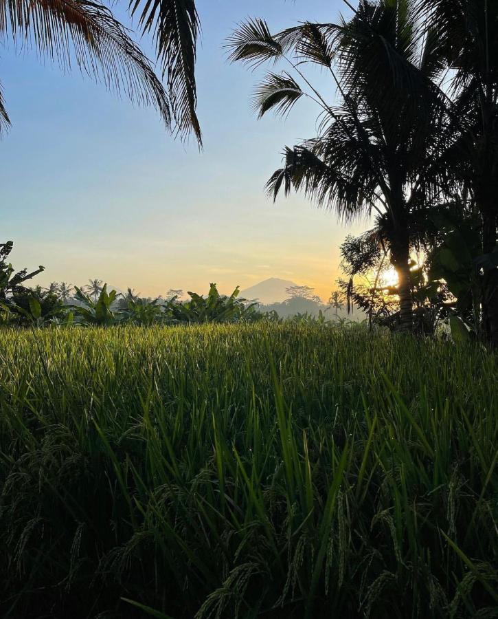 Rumah Semanggi Ubud Exteriér fotografie